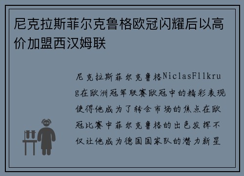 尼克拉斯菲尔克鲁格欧冠闪耀后以高价加盟西汉姆联 尼克拉斯菲尔克鲁格欧冠闪耀后以高价加盟西汉姆联